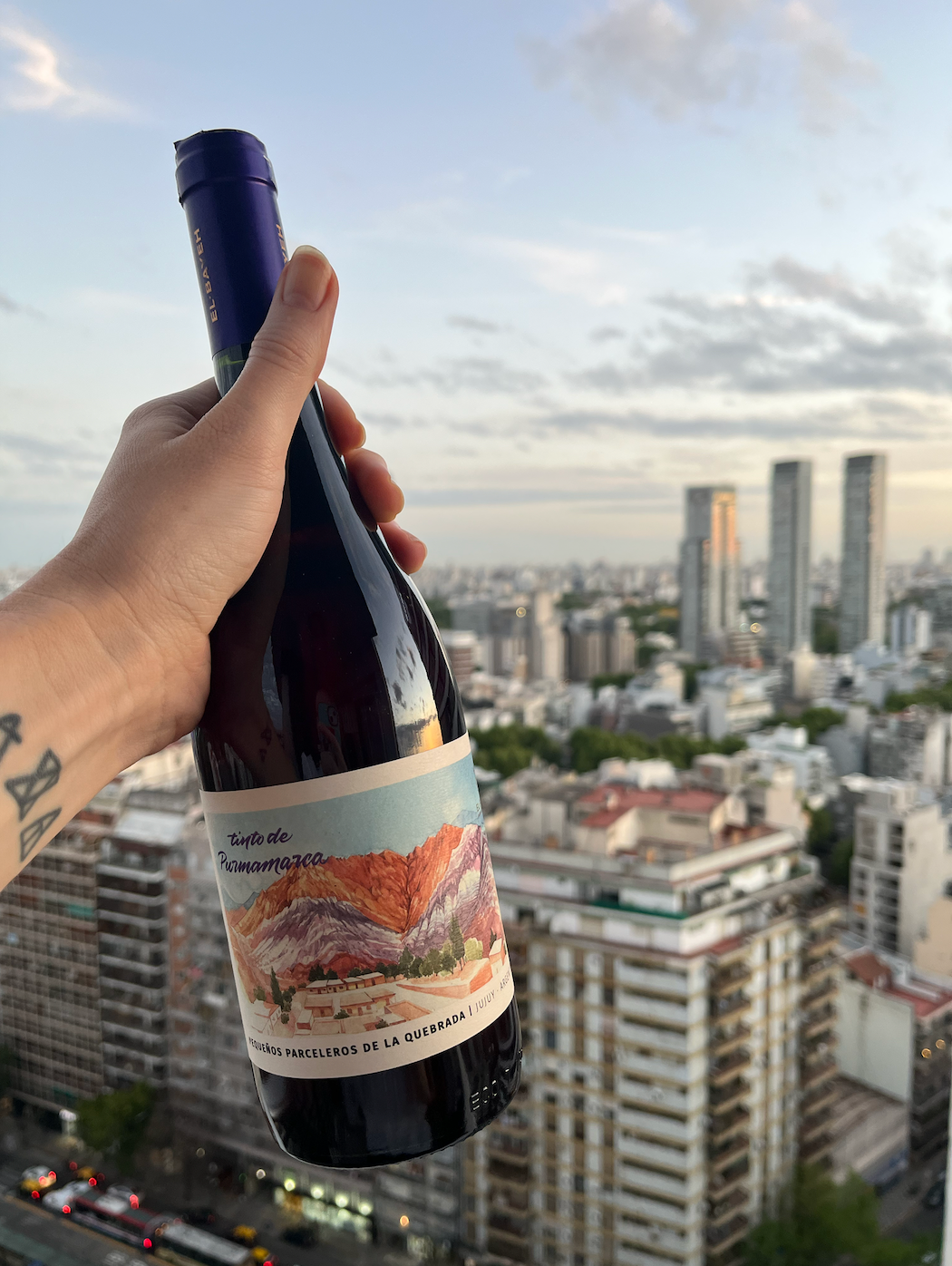 Girl holding up wine bottle with view of Buenos Aires